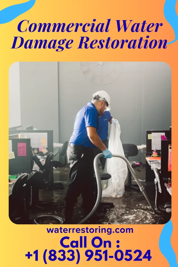 Commercial Water Damage Restoration in Leesburg, VA