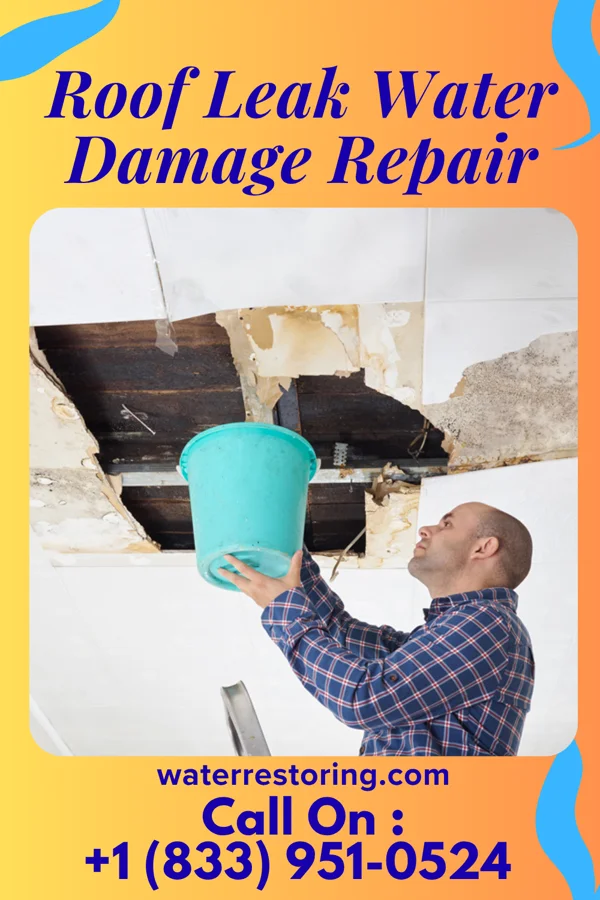 Roof Leak Water Damage Repair in Leesburg, VA