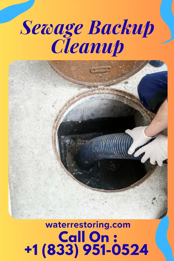 Sewage Backup Cleanup in Leesburg, VA