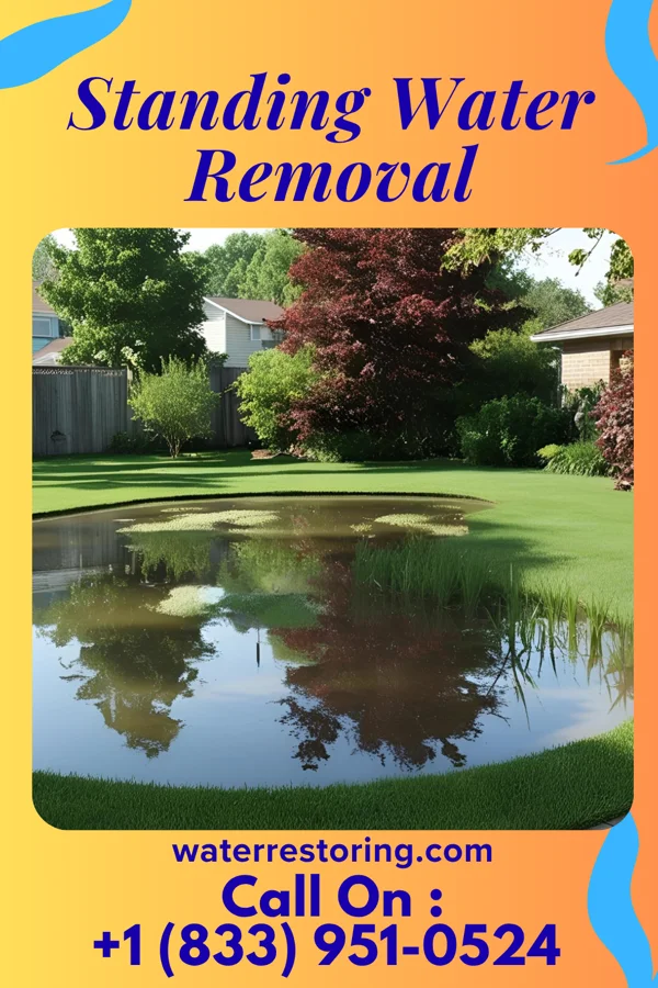 Standing Water Removal in Leesburg, VA